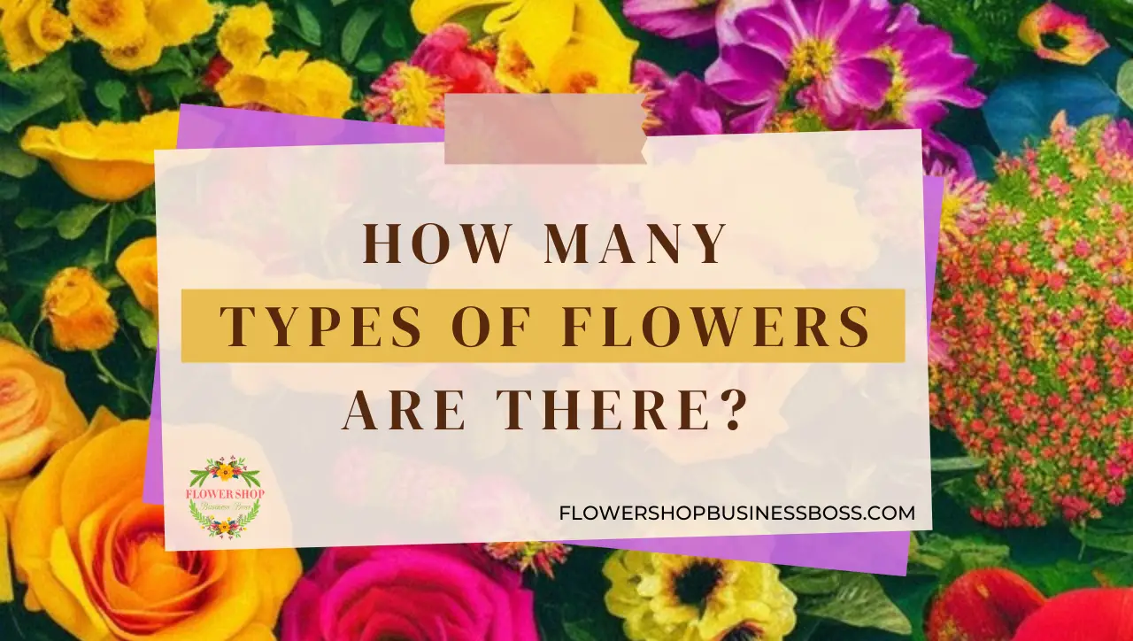 How Many Types of Flowers Are There? Flower Shop Business Boss