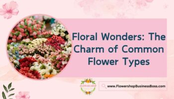 Common Flower Types