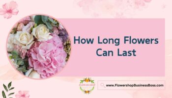 How Long Flowers Can Last