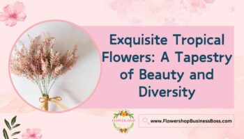 Different Tropical Flowers