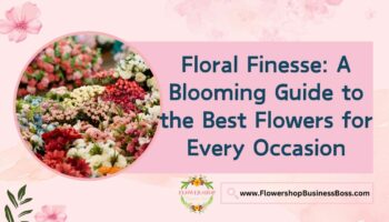 Best Flowers for Every Occasion