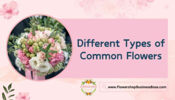 Different Types of Common Flowers