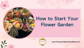 How to Start Your Flower Garden