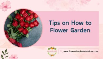 How to Make a Flower Garden
