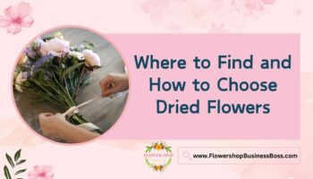 Where to Find and How to Choose Dried Flowers